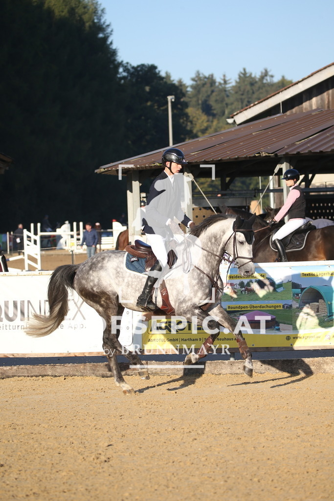 DL2Q0548 | Willkommen bei Brunnmayr - Design & Fotografie – Ihrem Spezialisten für Reitturniere und Pferdeveranstaltungen in Oberösterreich, Salzburg und Bayern! Seit über 17 Jahren sind wir leidenschaftlich dabei.