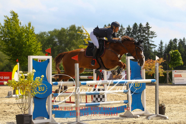 DKP43649 | Turniersportfotografie; Pferdefotografie; Dressurfotografie