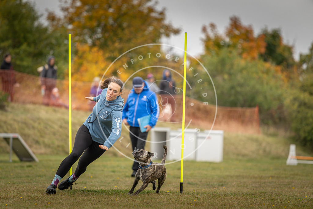Pfotenfotografie_DV3A3482 | Hundefotografie, Tierfotograf, Pfotenfotografie, Fotoshooting Hund, Hunde Portrait, Hundesport, Hundeportraits, Heideshooting, Hunde, Sportfotograf, Hundefotograf, Turnierhundsport, THS,  - Realisiert mit Pictrs.com