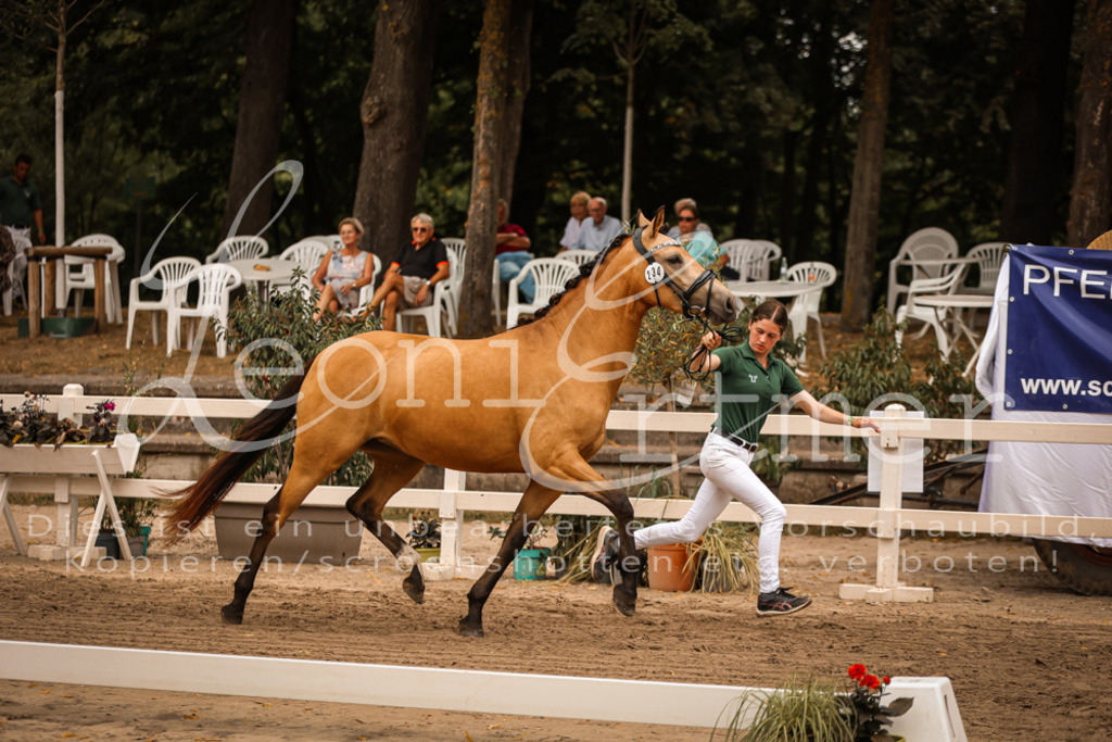 12.So00084 | Leoni Ertmer Photography - Realisiert mit Pictrs.com