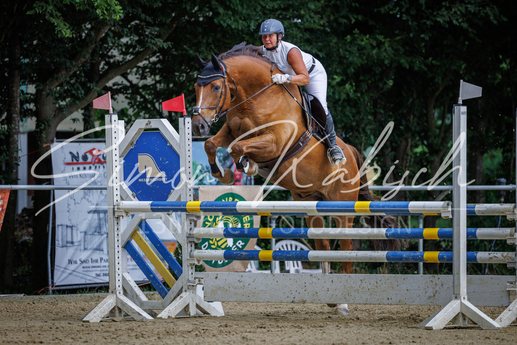 20260705-_3LI6654 | Tierfotografie Pferde, Hunde, Katzen, Haustiere.
Turnierfotografie Reitturniere, Reiten, Springreiten, Dressur in Hanau, dem Main-Kinzig-Kreis und dem Rhein-Main- Gebiet um Frankfurt