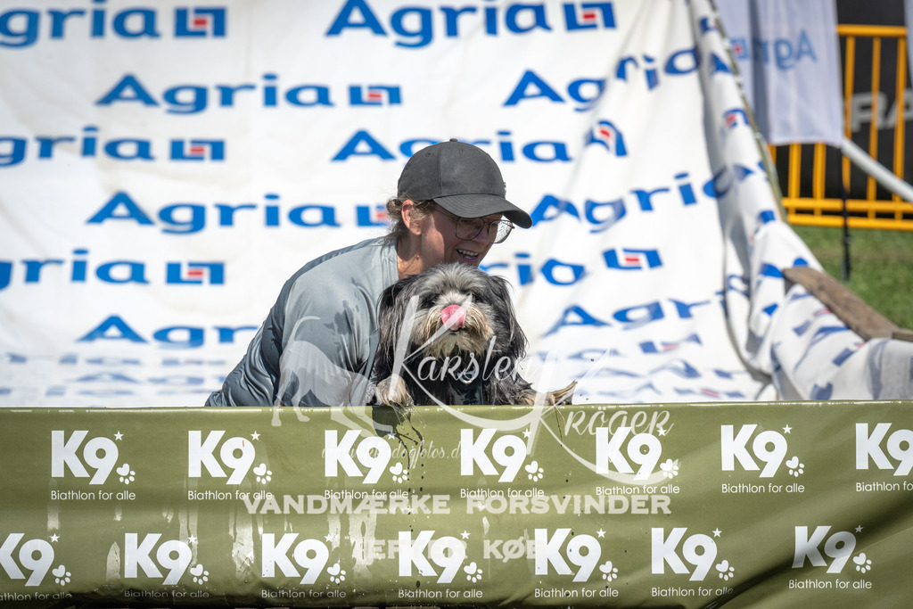 1431_ZZ94572 | kk-dogfotos