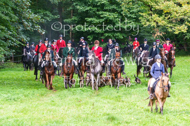 Jagd Perdoel 26 Sony-04154_MarinaHewig | Fotografie, FotoArt, PferdesportArt, Pferdesportfotografie, Landschaftsfotografie, Reisefotografie, Reise, Pferde - Realisiert mit Pictrs.com