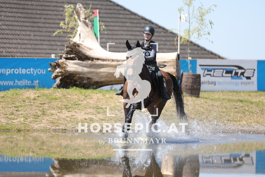 0P6A4980 | Willkommen bei Brunnmayr - Design & Fotografie – Ihrem Spezialisten für Reitturniere und Pferdeveranstaltungen in Oberösterreich, Salzburg und Bayern! Seit über 17 Jahren sind wir leidenschaftlich dabei.