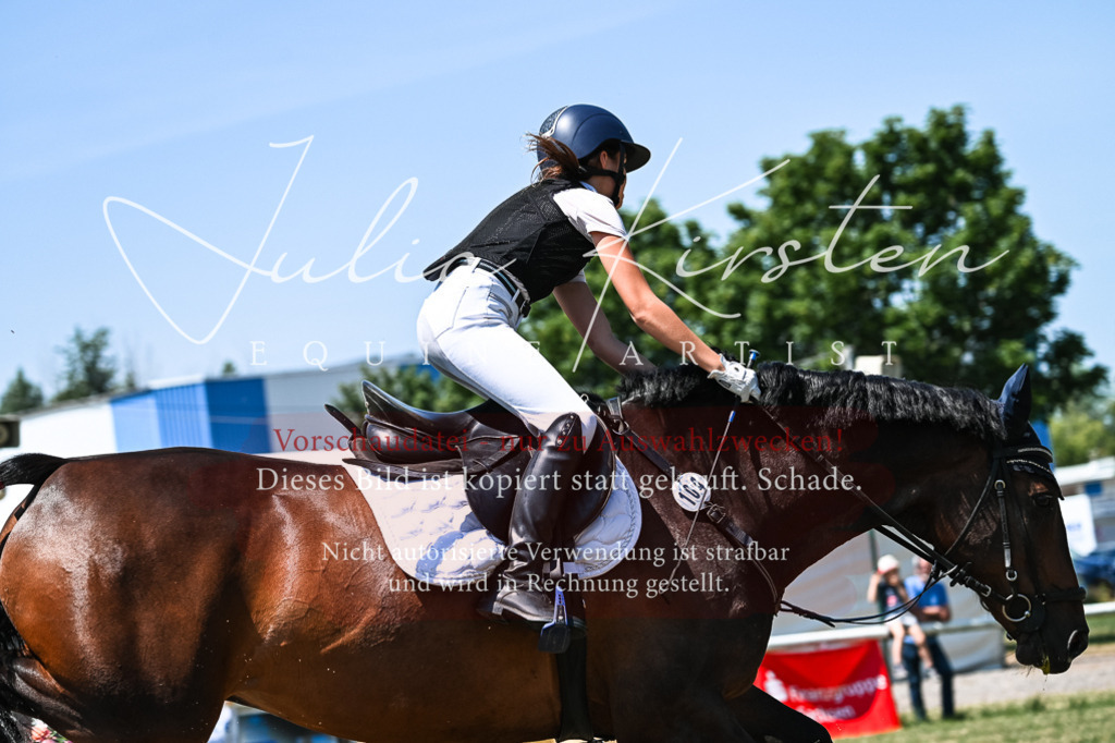 DSC_0529 | Pferde- und Turnierfotografie in Westsachsen. Pferdeportraits, Auftragszeichnungen und intuitive Kunst.