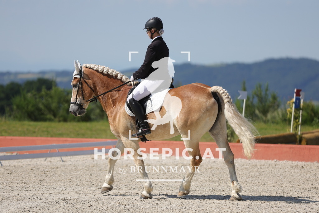 0P6A0104 | Willkommen bei Brunnmayr - Design & Fotografie – Ihrem Spezialisten für Reitturniere und Pferdeveranstaltungen in Oberösterreich, Salzburg und Bayern! Seit über 17 Jahren sind wir leidenschaftlich dabei.
