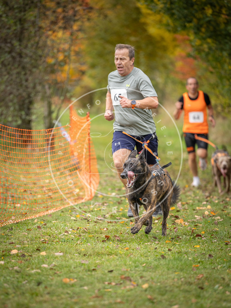 Pfotenfotografie_DV3A2716 | Hundefotografie, Tierfotograf, Pfotenfotografie, Fotoshooting Hund, Hunde Portrait, Hundesport, Hundeportraits, Heideshooting, Hunde, Sportfotograf, Hundefotograf, Turnierhundsport, THS,  - Realisiert mit Pictrs.com