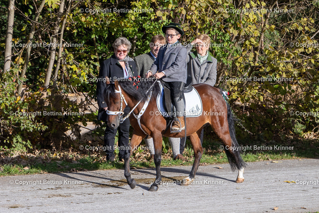 LBT24-820 | foto-bettina-krinner - Realisiert mit Pictrs.com