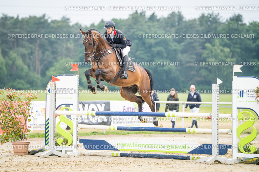 DSC00385 | Pferdegrafie