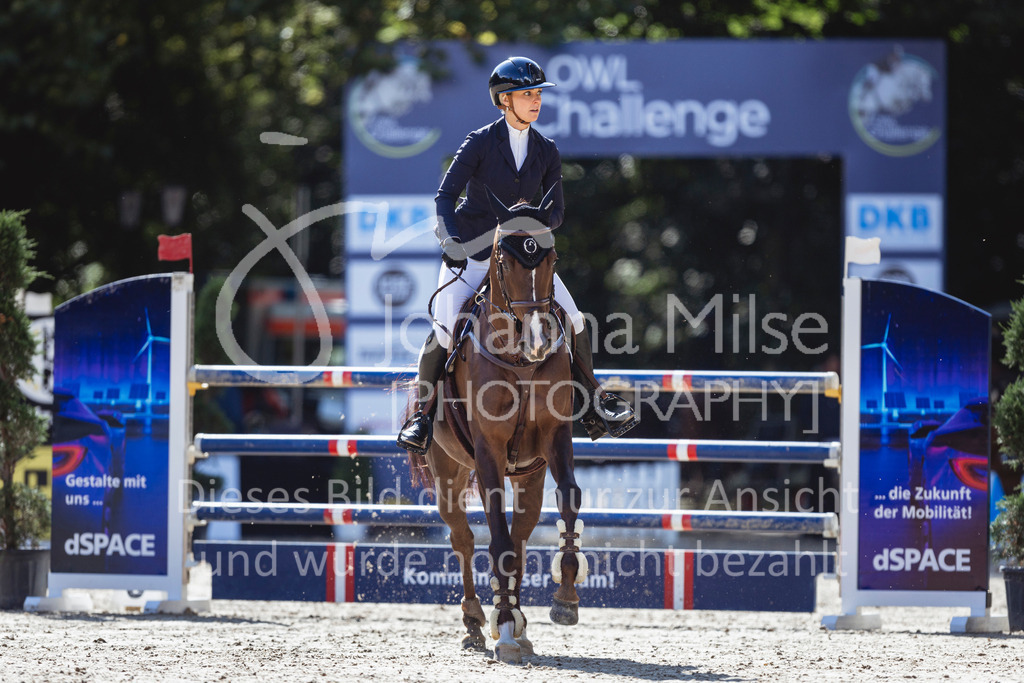 240912_OWLCh_AmateurL-410 | Deine schönsten Turniermomente als professionelle Fotos! Entdecke hochwertige Pferdesport-Fotografie im Online-Shop. Jetzt Fotos finden & bestellen!