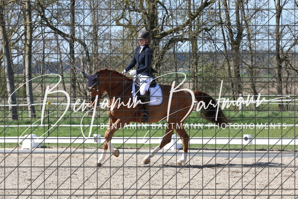 AZ2A4630 | Benjamin Bartmann Photomoments