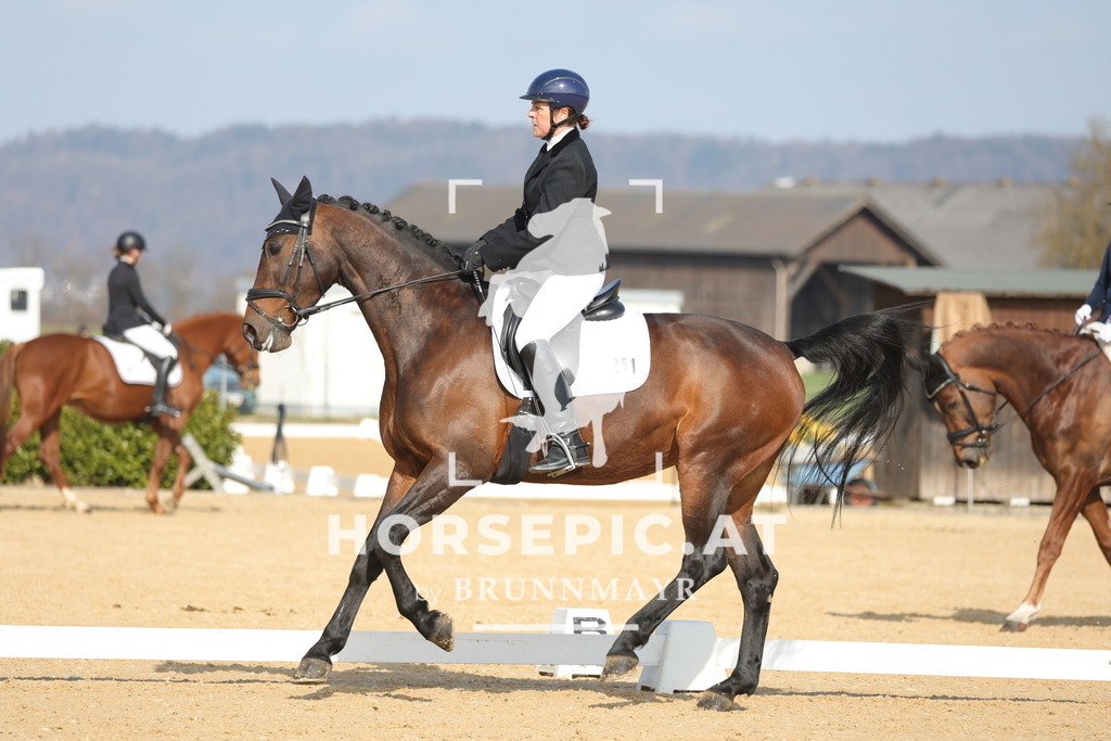 0P6A6237 | Willkommen bei Brunnmayr - Design & Fotografie – Ihrem Spezialisten für Reitturniere und Pferdeveranstaltungen in Oberösterreich, Salzburg und Bayern! Seit über 17 Jahren sind wir leidenschaftlich dabei.