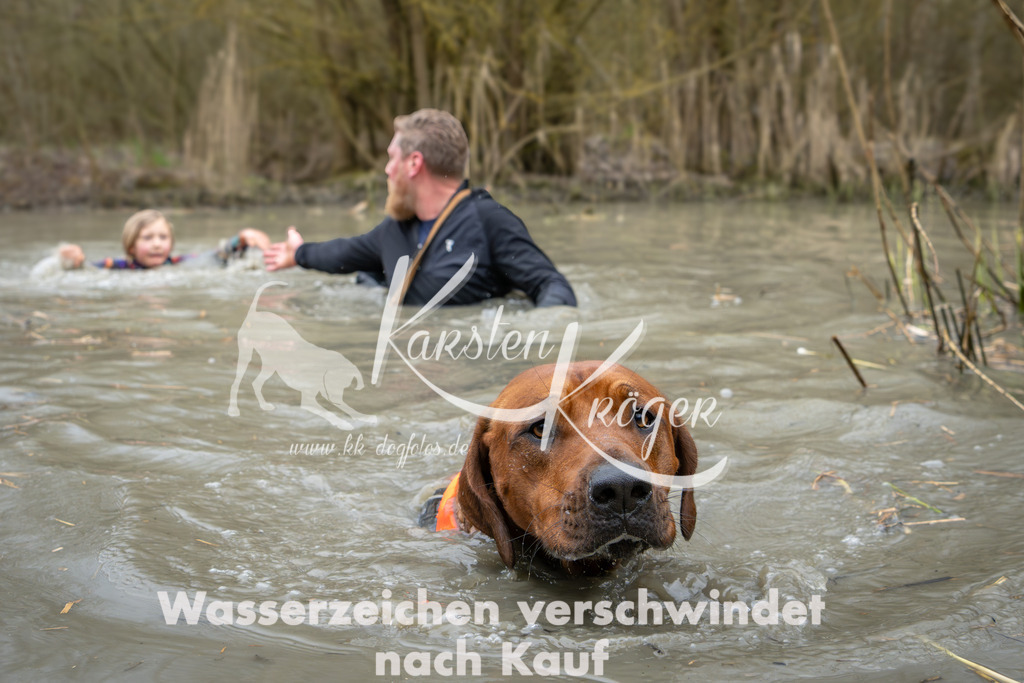 1402_ZZ95636 | kk-dogfotos