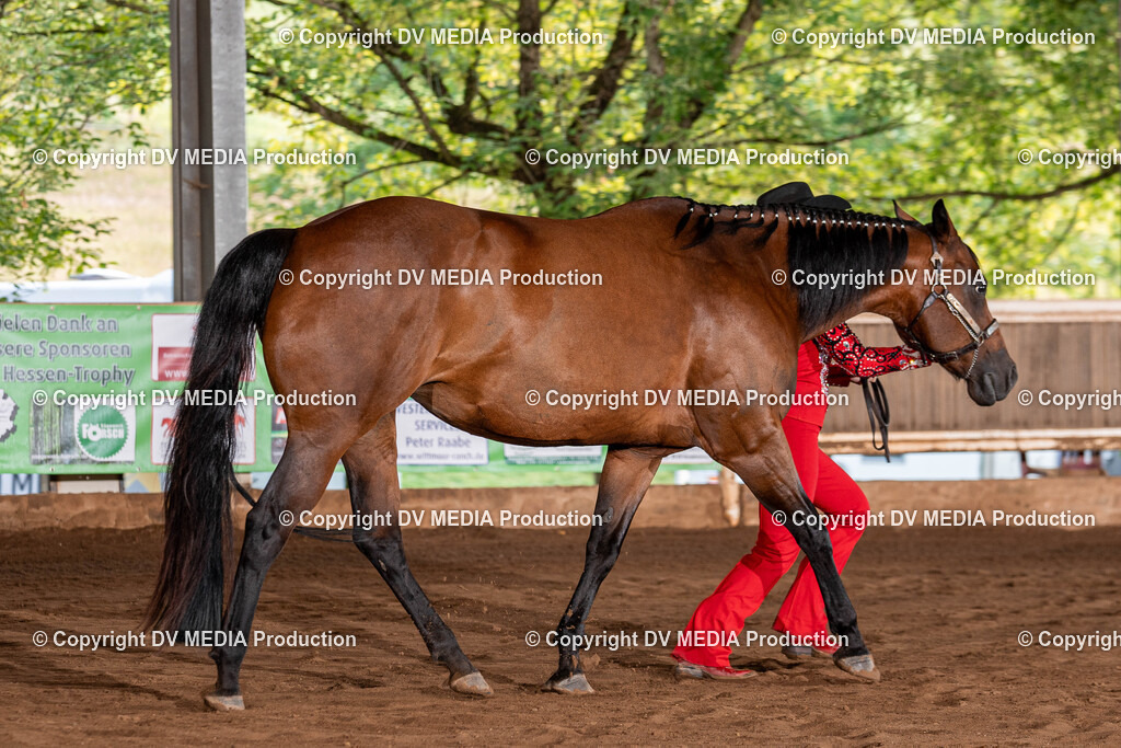 Erbach Tag 3-142 | dv-media-shop - Realisiert mit Pictrs.com