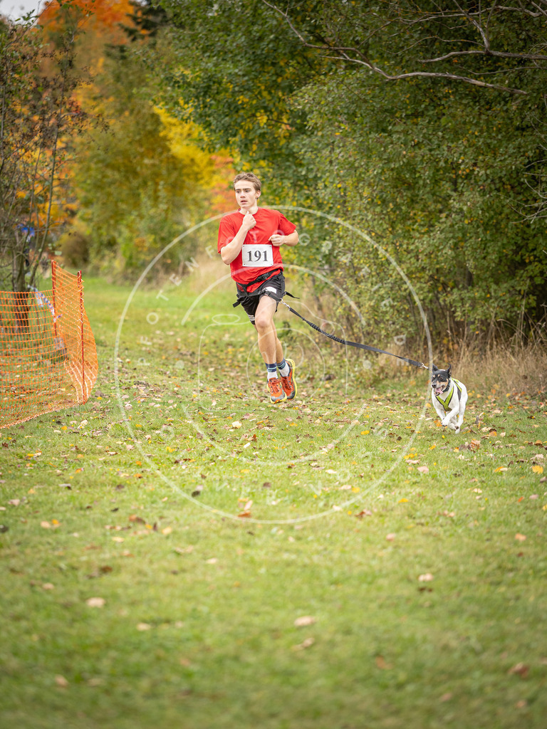 Pfotenfotografie_DV3A3562 | Hundefotografie, Tierfotograf, Pfotenfotografie, Fotoshooting Hund, Hunde Portrait, Hundesport, Hundeportraits, Heideshooting, Hunde, Sportfotograf, Hundefotograf, Turnierhundsport, THS,  - Realisiert mit Pictrs.com