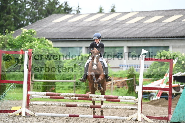 DSC_0151 | equestrian-live-com