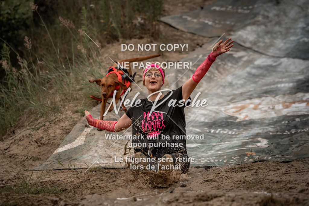 nelerasche_sa0800-1000_327 | nelerasche