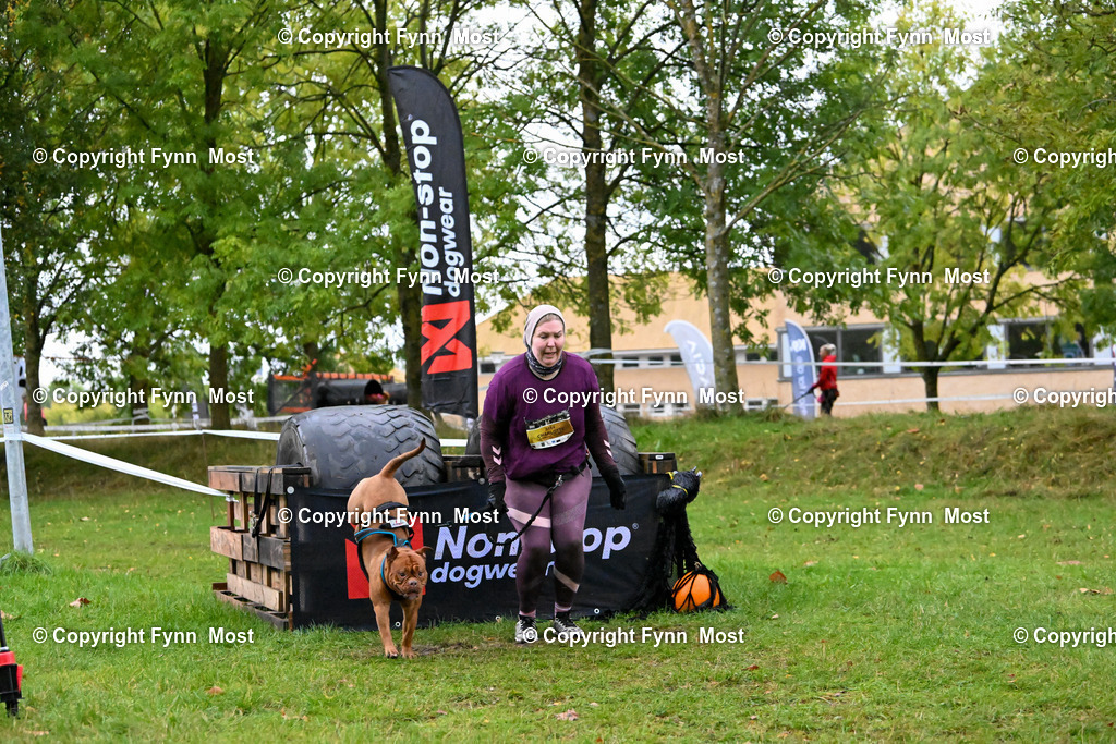DSC_1604 | Hallo und herzlich Willkommen auf meiner Shop-Seite Fynn Most.

Ich wünsche Dir viel Spaß beim stöbern durch die Bilder, wenn Du Fragen hast oder Bilder vermisst, kannst du mir gerne eine Nachricht schreiben. - Realisiert mit Pictrs.com