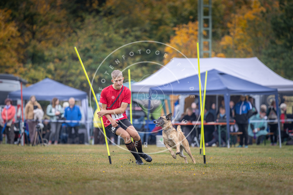 Pfotenfotografie_DV3A1174 | Hundefotografie, Tierfotograf, Pfotenfotografie, Fotoshooting Hund, Hunde Portrait, Hundesport, Hundeportraits, Heideshooting, Hunde, Sportfotograf, Hundefotograf, Turnierhundsport, THS,  - Realisiert mit Pictrs.com