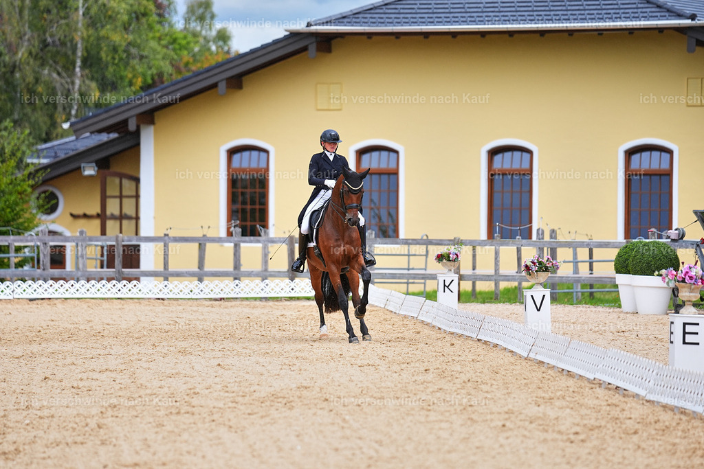 8_1-100-Klasse S_  -Marixx-4208 | working equitationturnier fotograf videograf stoibphotography marixx film working equitation deutschland reitsport turnierfotografie eventfotografie equestrian events