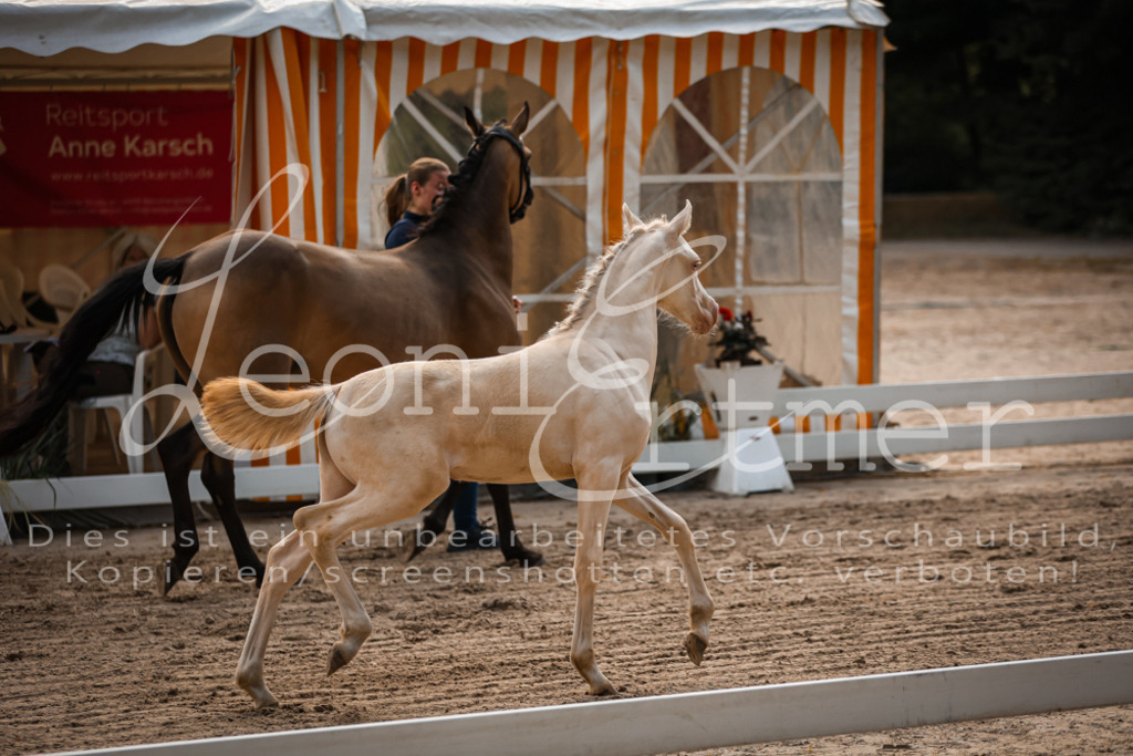 10.DoRP00056 | Leoni Ertmer Photography - Realisiert mit Pictrs.com