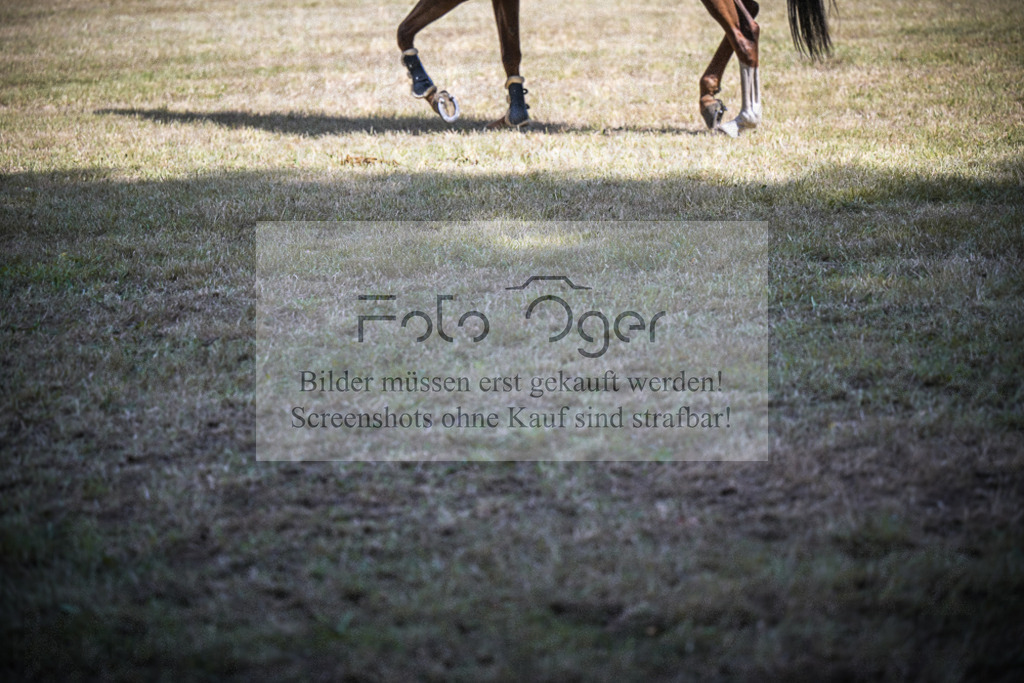 DOS_1300 | Entdecke hochwertige Reitturnierfotos von Foto Oger. Professionell, emotional und authentisch – jetzt Lieblingsmomente im Shop bestellen.Deutschlandweite Turnierfotografie. - Realisiert mit Pictrs.com