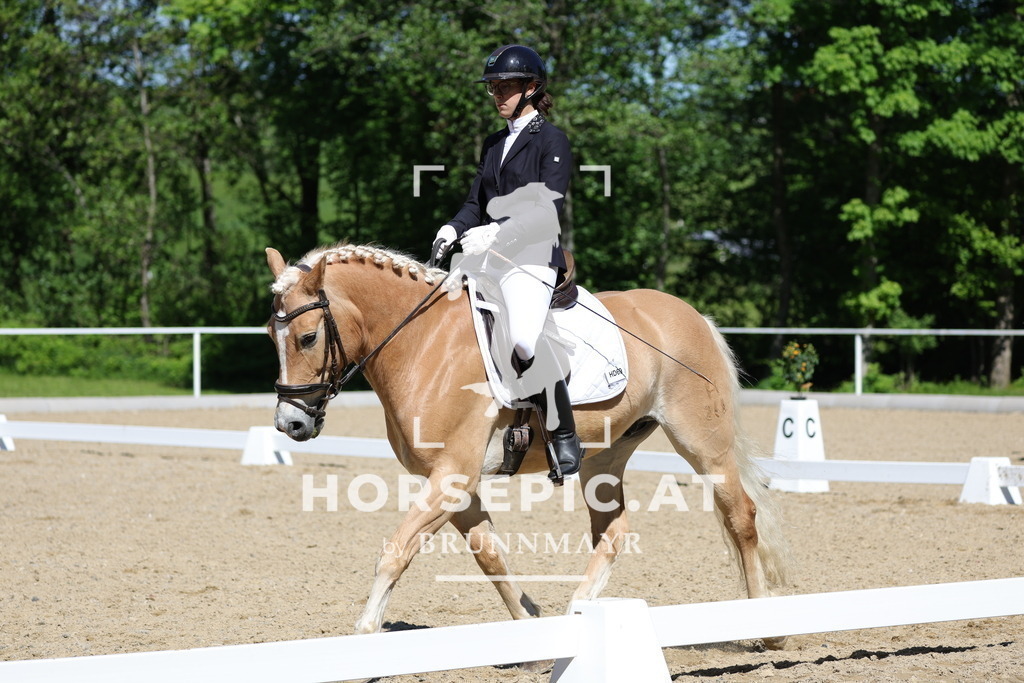 0P6A1643 | Willkommen bei Brunnmayr - Design & Fotografie – Ihrem Spezialisten für Reitturniere und Pferdeveranstaltungen in Oberösterreich, Salzburg und Bayern! Seit über 17 Jahren sind wir leidenschaftlich dabei.