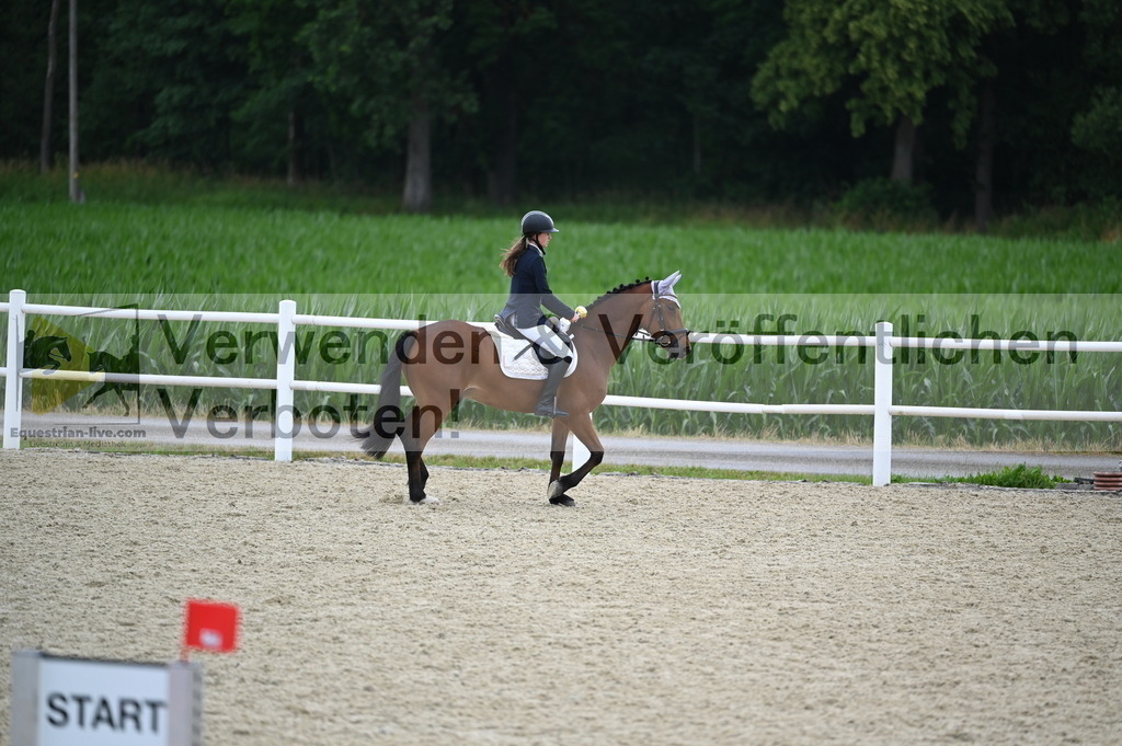DSC_5428 | equestrian-live-com