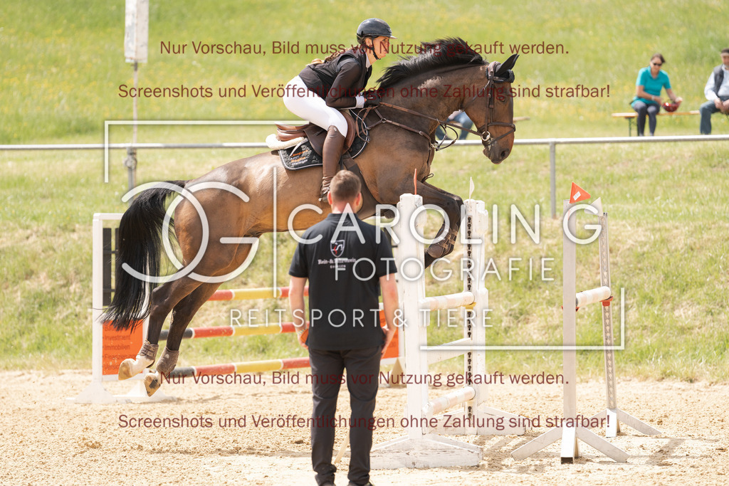 DSC06727 | Springturnier_Ehingen_Mai_2026, Carla_Schweizer, Icarus_Z