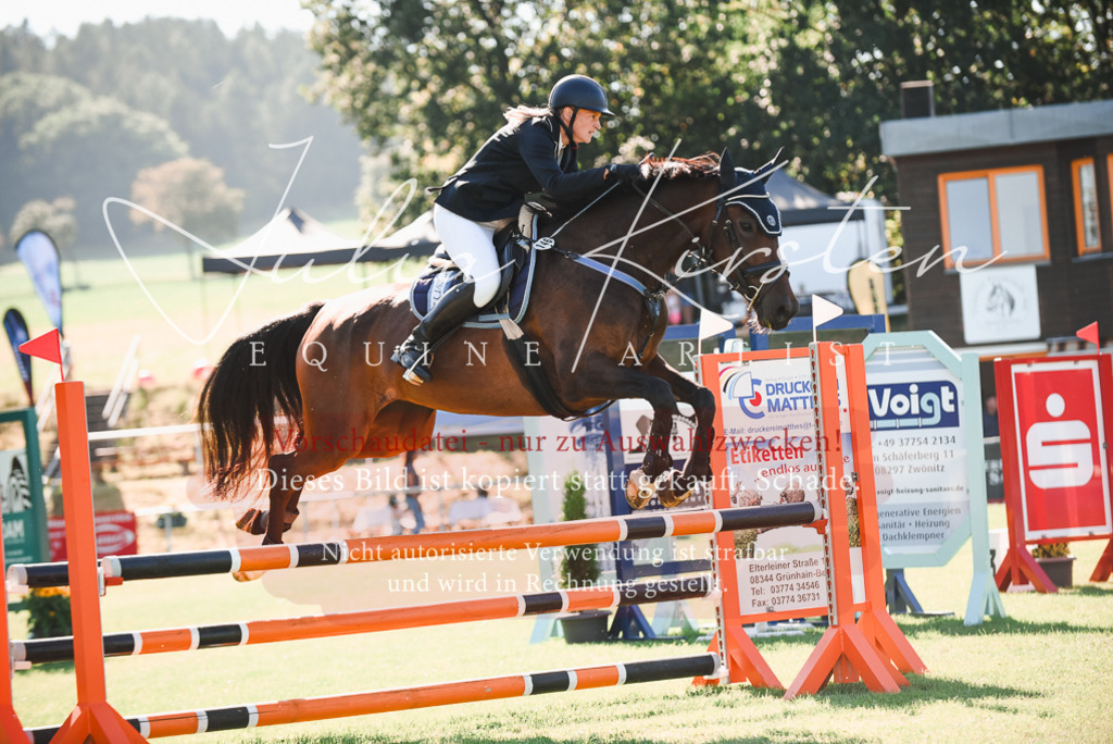 DSC_2403 | Pferde- und Turnierfotografie in Westsachsen. Pferdeportraits, Auftragszeichnungen und intuitive Kunst.