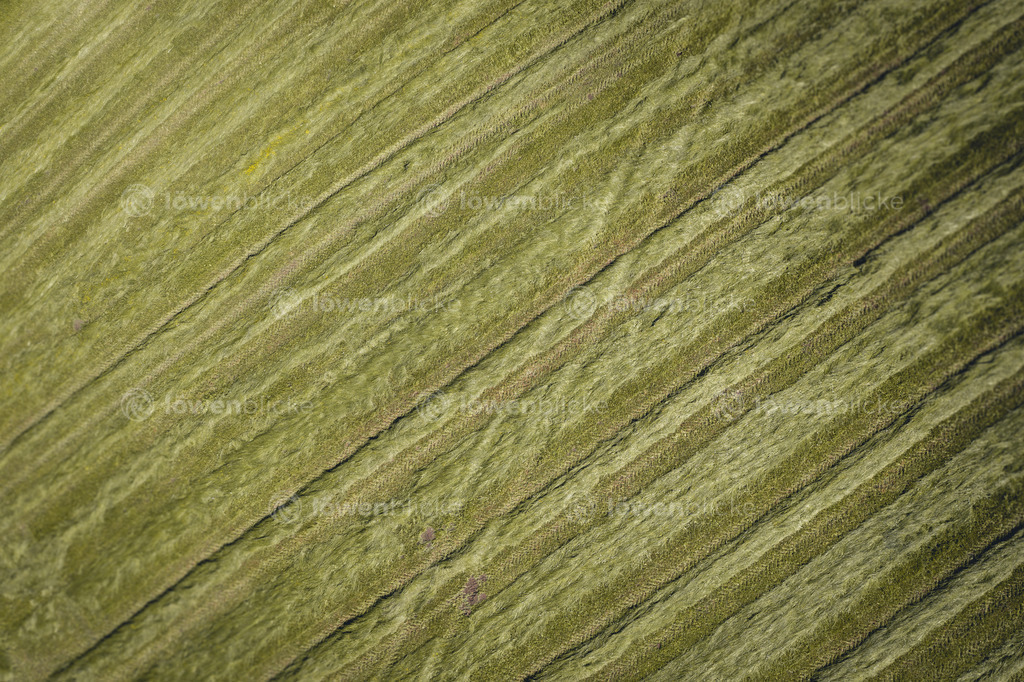 Gemähtes Feld bei Lauterstein | löwenblicke | shop
