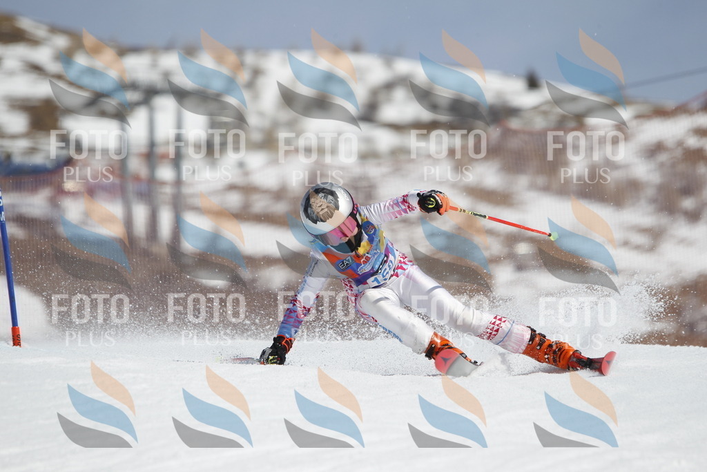 _U3G1357 | holidayphoto