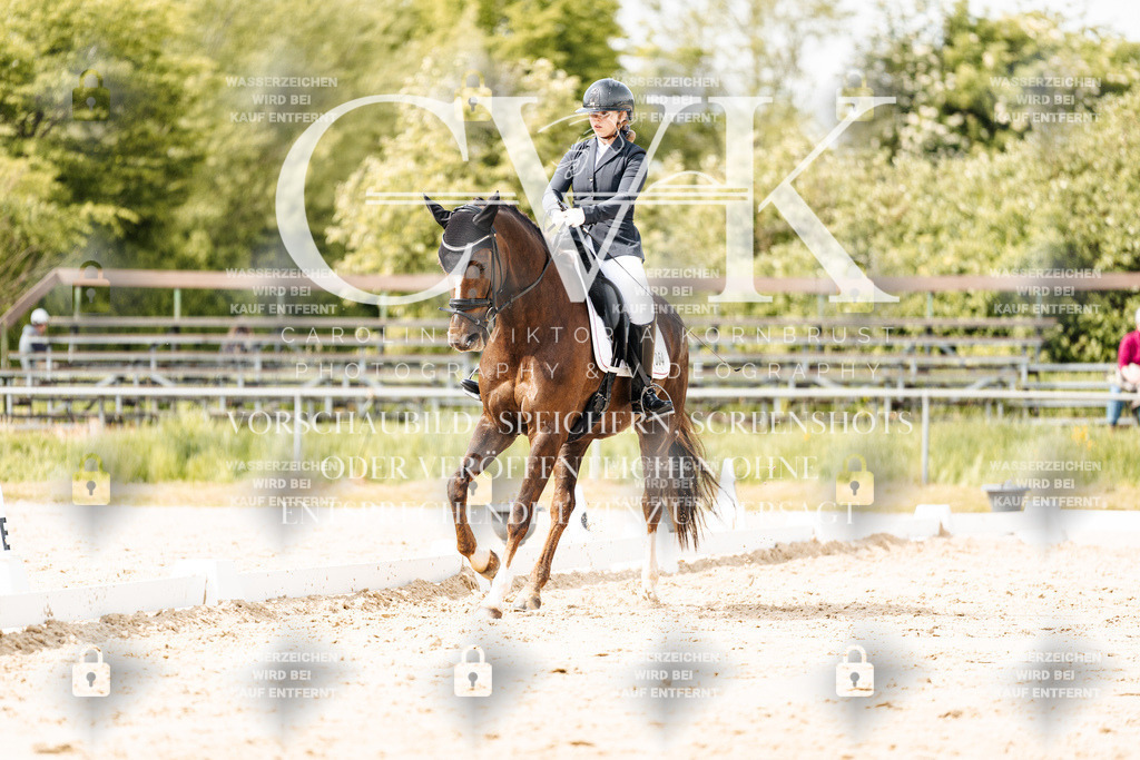 CK901348 | Turnierfotografie Pferdefotografie Trier Rheinland-Pfalz Pferdesport Reitsport Tierfotografie Sportfotografie Pferdevideo Pferdevideografie Equestrianvideography equestrianphotography  - Realisiert mit Pictrs.com