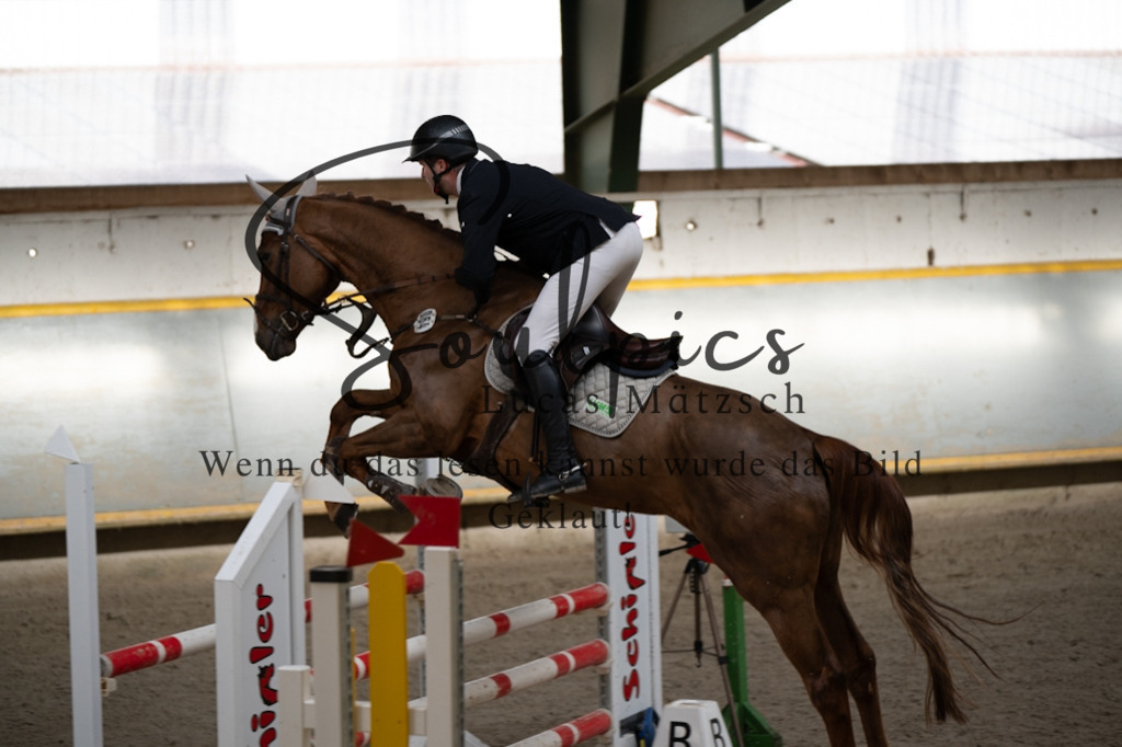 A7V02263 | Pferdefotograf