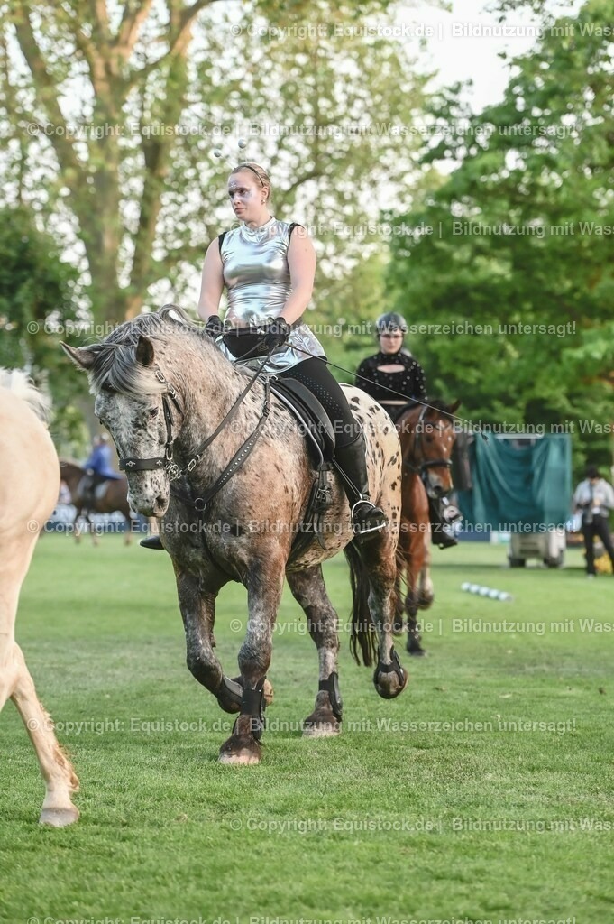 20230526_Pferdenacht_0475 | equistock