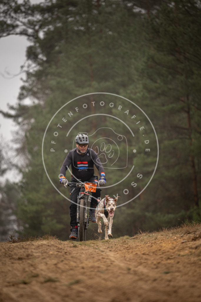 Pfotenfotografie_DV3A3023 | Hundefotografie, Tierfotograf, Pfotenfotografie, Fotoshooting Hund, Hunde Portrait, Hundesport, Hundeportraits, Heideshooting, Hunde, Sportfotograf, Hundefotograf, Turnierhundsport, THS,  - Realisiert mit Pictrs.com