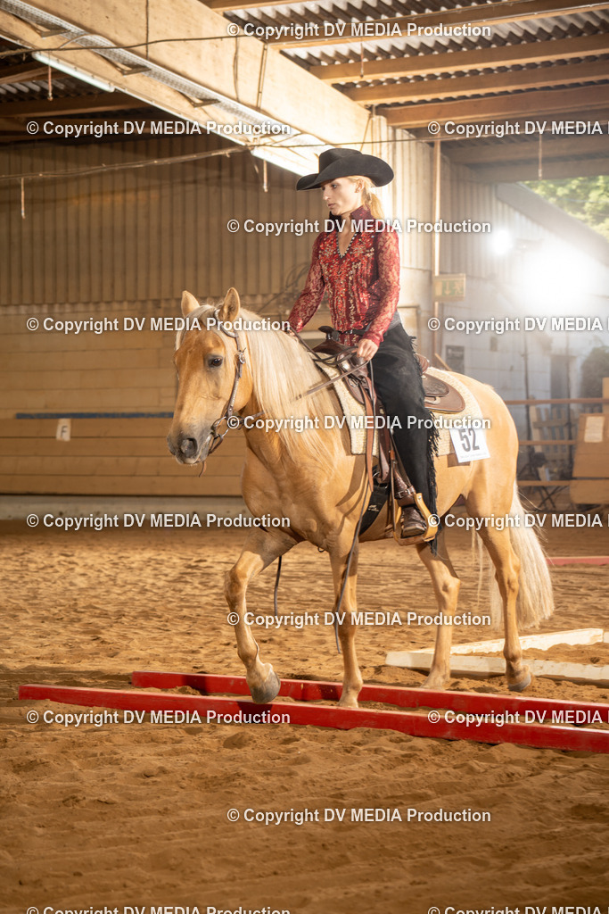 NID02620 | dv-media-shop - Realisiert mit Pictrs.com