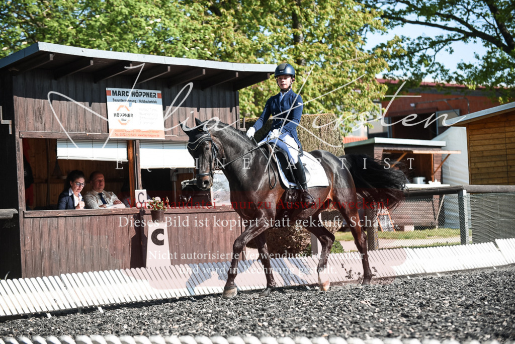 DSC_8594 | Pferde- und Turnierfotografie in Westsachsen. Pferdeportraits, Auftragszeichnungen und intuitive Kunst.