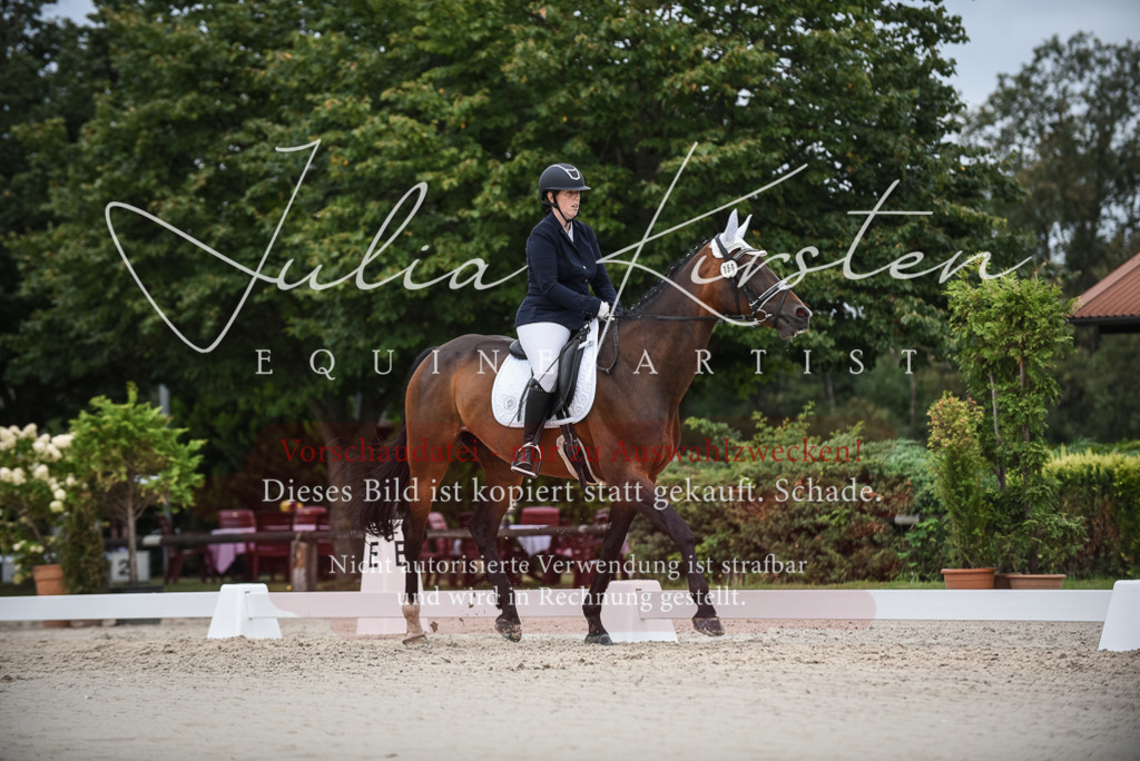 DSC_8453 | Pferde- und Turnierfotografie in Westsachsen. Pferdeportraits, Auftragszeichnungen und intuitive Kunst.