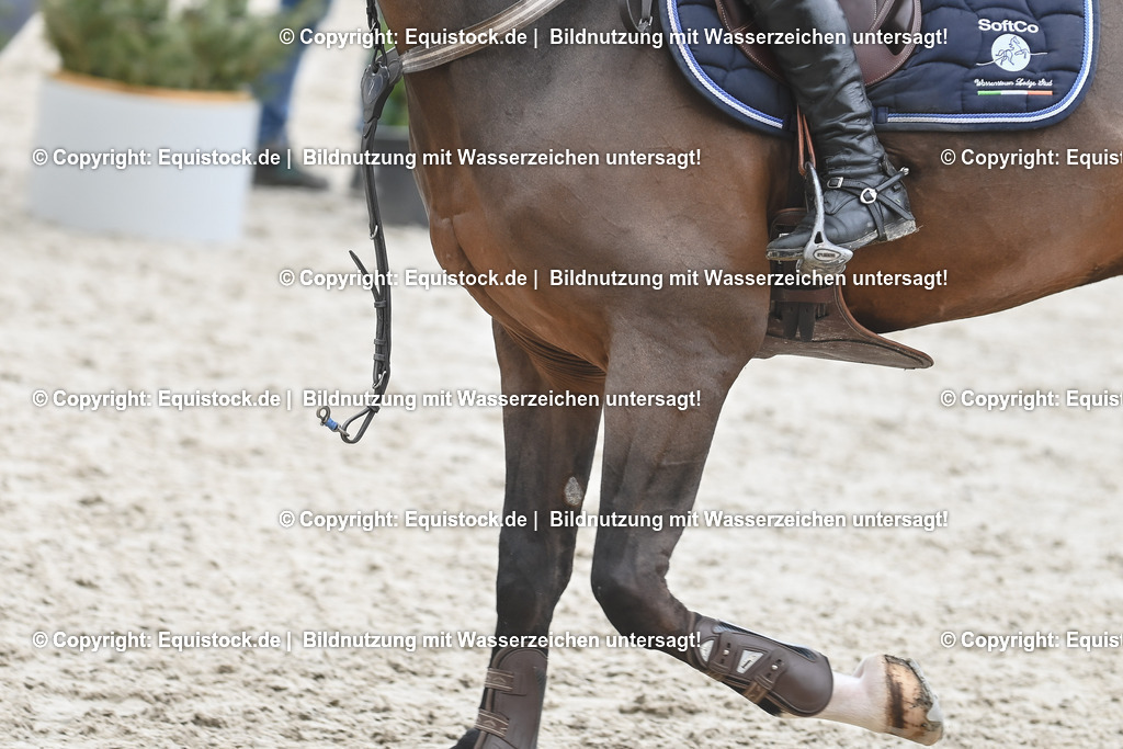 20230514_CCI4_Springen_0118 | equistock