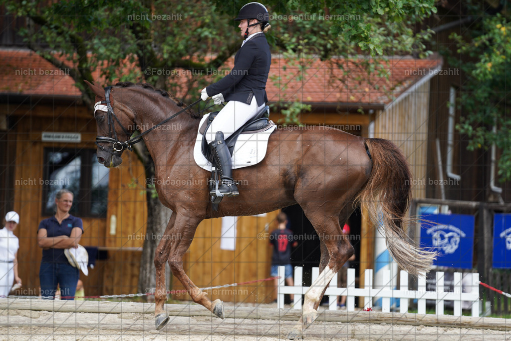 20230826-FAH05565 | Forstinning, 2023, Dressurturnier, Turniersportbilder, Turnierfotografen Bayern, Fotoagentur Herrmann, Reitsportfotografie, Turnierbilder