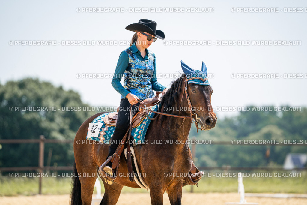 DSC00738 | Pferdegrafie