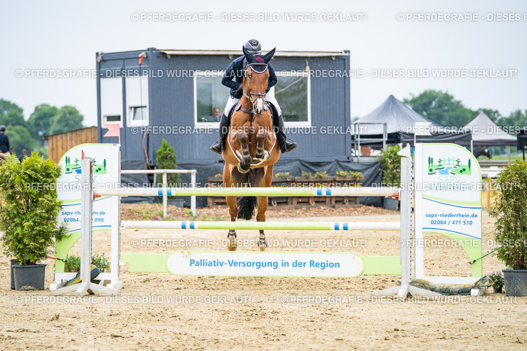 DSC07084 | Pferdegrafie