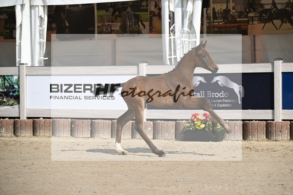 Sane x Fuerst Romancier_SF_Fritz_12250082 | hf-fotografie - Realisiert mit Pictrs.com