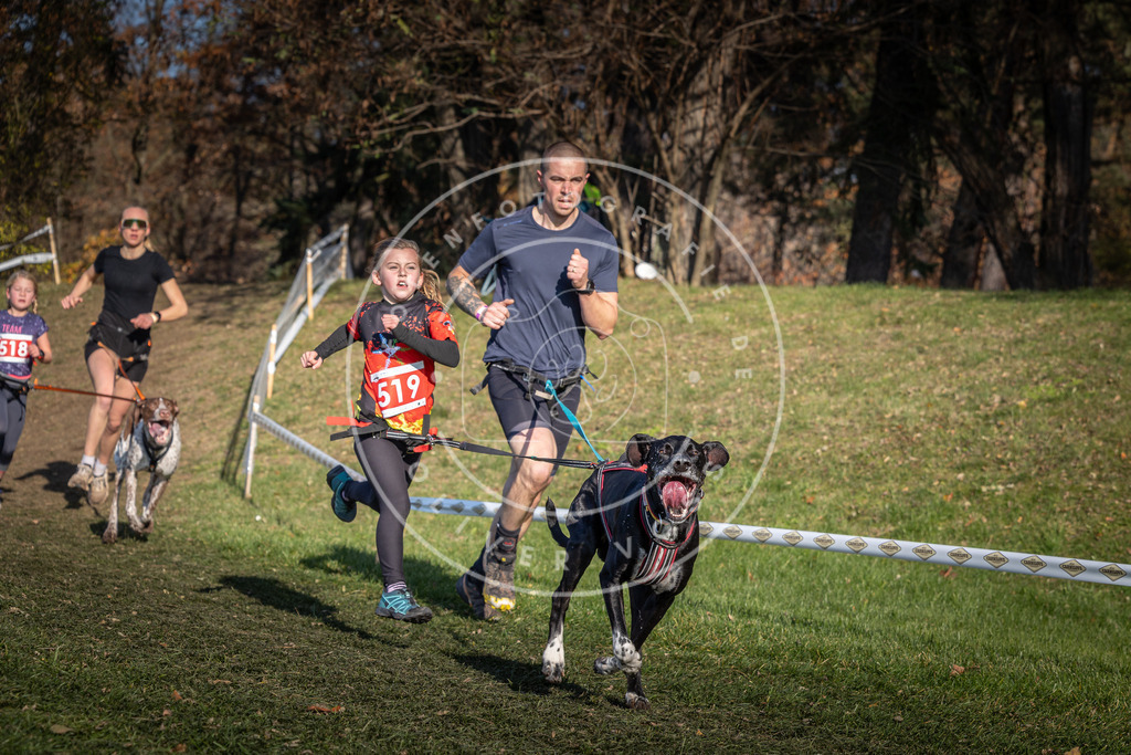 CaniXpix_0L8A8620 | Hundefotografie, Tierfotograf, Pfotenfotografie, Fotoshooting Hund, Hunde Portrait, Hundesport, Hundeportraits, Heideshooting, Hunde, Sportfotograf, Hundefotograf, Turnierhundsport, THS,  - Realisiert mit Pictrs.com