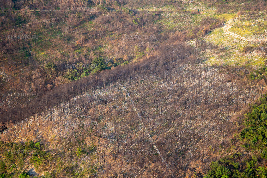 Vue aérienne: Après l'incendie de forêt à le quartier Vrtoče in Miren-Kostanjevica dans le département Slovénie, Slovénie. Photo: IMG_137566.jpg prise le 16/07/2023 par Werner Riehm/FLY-FOTO.euRésolution de l'original: 5472 x 3648 px