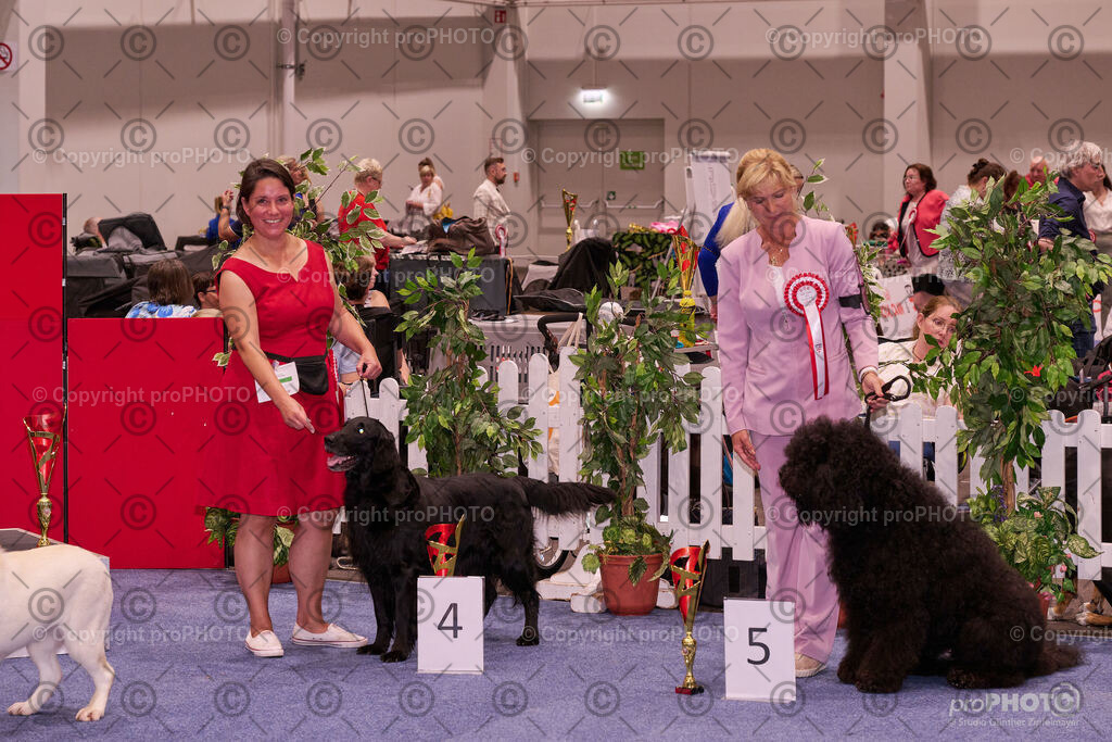 202406_ÖKV-IHA-Tulln24_NZ9_9559 | proPHOTO - Realisiert mit Pictrs.com