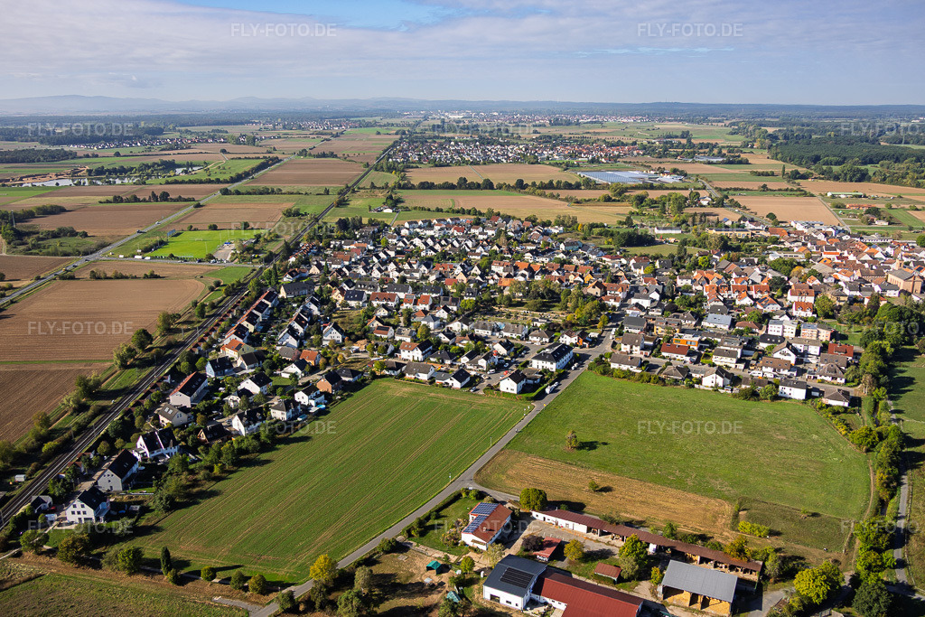 Luftbild: Nelkenstr im Ortsteil Sickenhofen in Babenhausen im Bundesland Hessen in Deutschland. – Foto: IMG_159034.jpg vom 22.09.2026 durch Werner Riehm/FLY-FOTO.de – Auflösung des Originals: 5359 x 3573 px