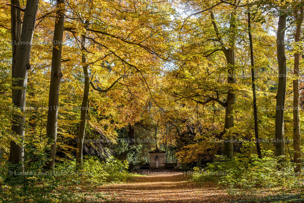 10049-5419 - Brühlpark _ Quedlinburg | Stockfoto und Bilderpool mit Bildmaterial aus Deutschland, dem Harz, Halberstadt, Quedlinburg, Wernigerode und weltweit. Qualitativ hochwertige und professionelle Fotos anschauen und kaufen. - Realisiert mit Pictrs.com