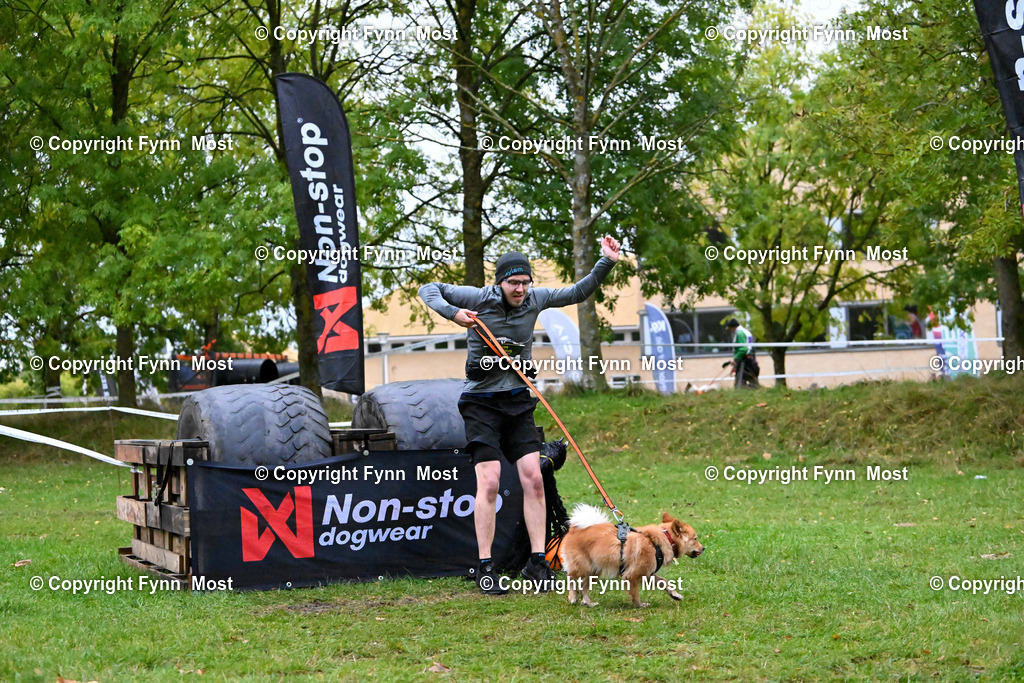 DSC_2742 | Hallo und herzlich Willkommen auf meiner Shop-Seite Fynn Most.

Ich wünsche Dir viel Spaß beim stöbern durch die Bilder, wenn Du Fragen hast oder Bilder vermisst, kannst du mir gerne eine Nachricht schreiben. - Realisiert mit Pictrs.com